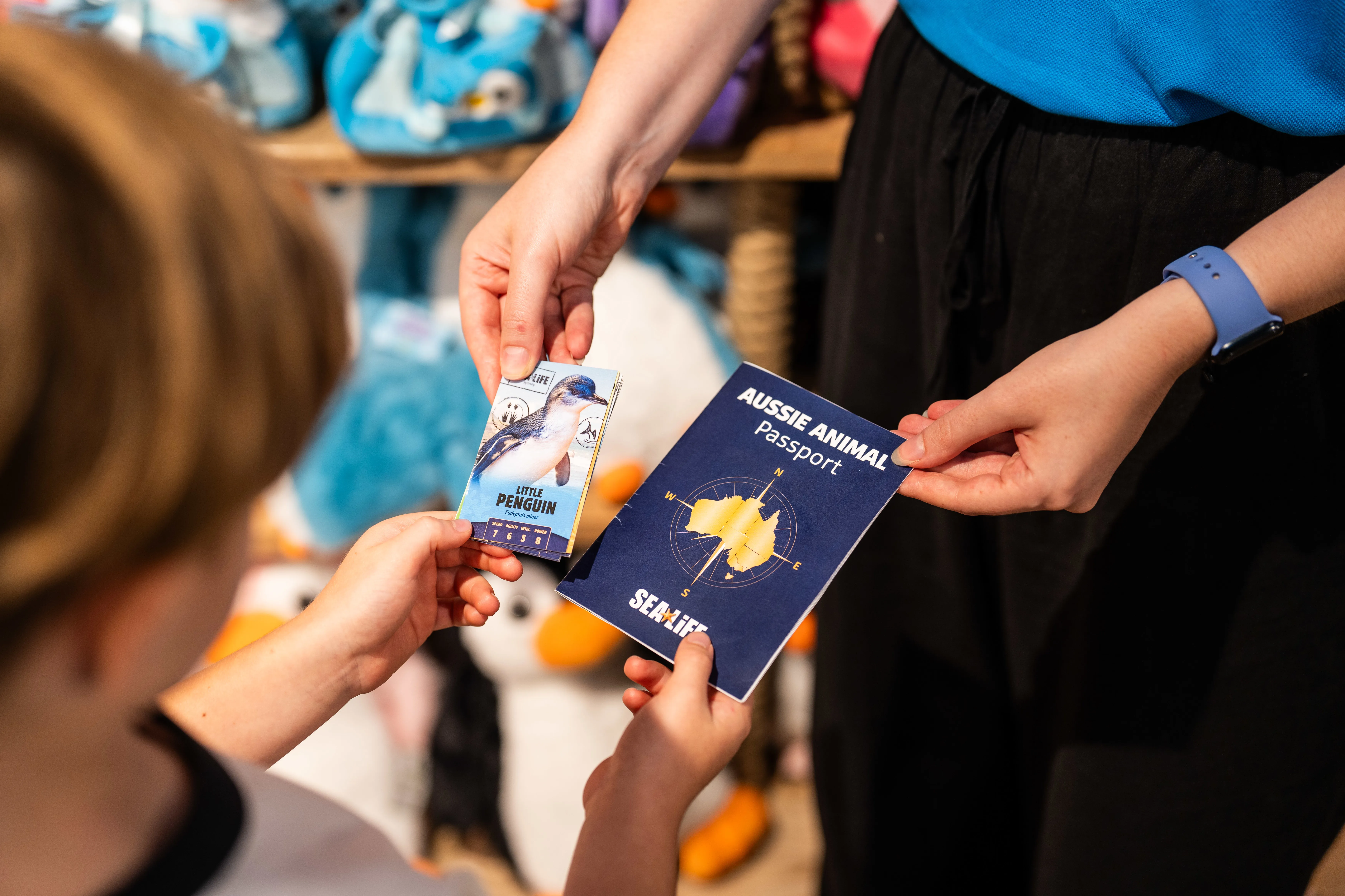 SLS WLS AAP Cards Passport