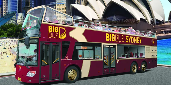 hop on hop off bus