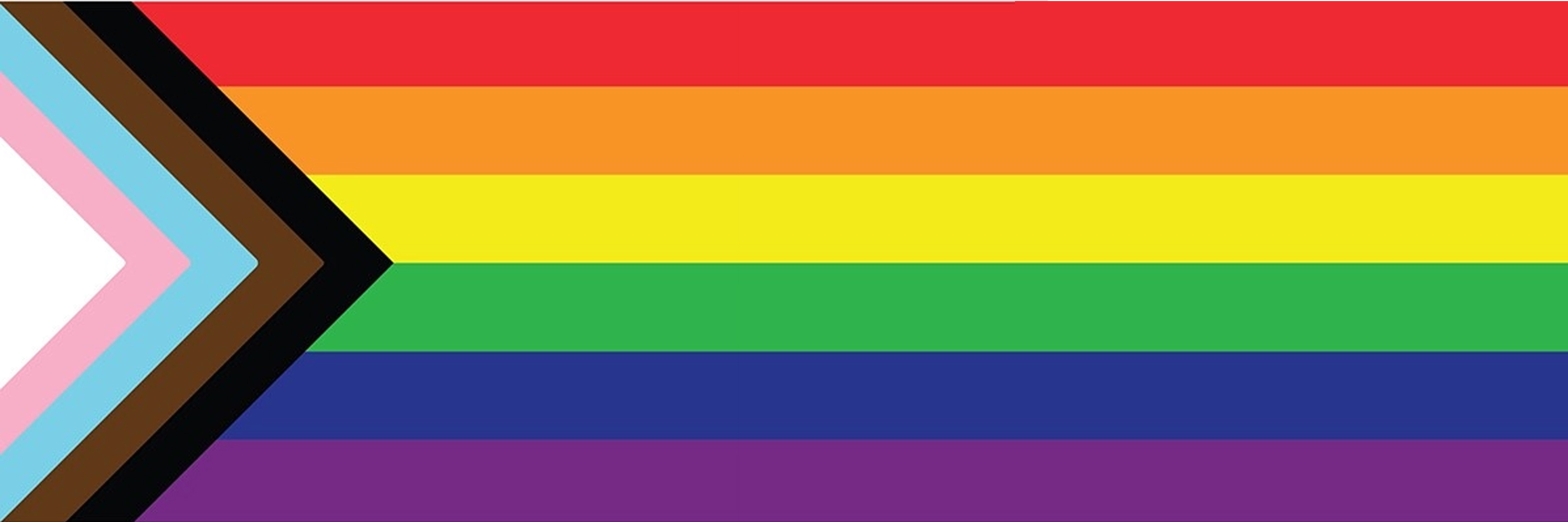Progressive Pride Flag 3 To 1 Ratio (1)