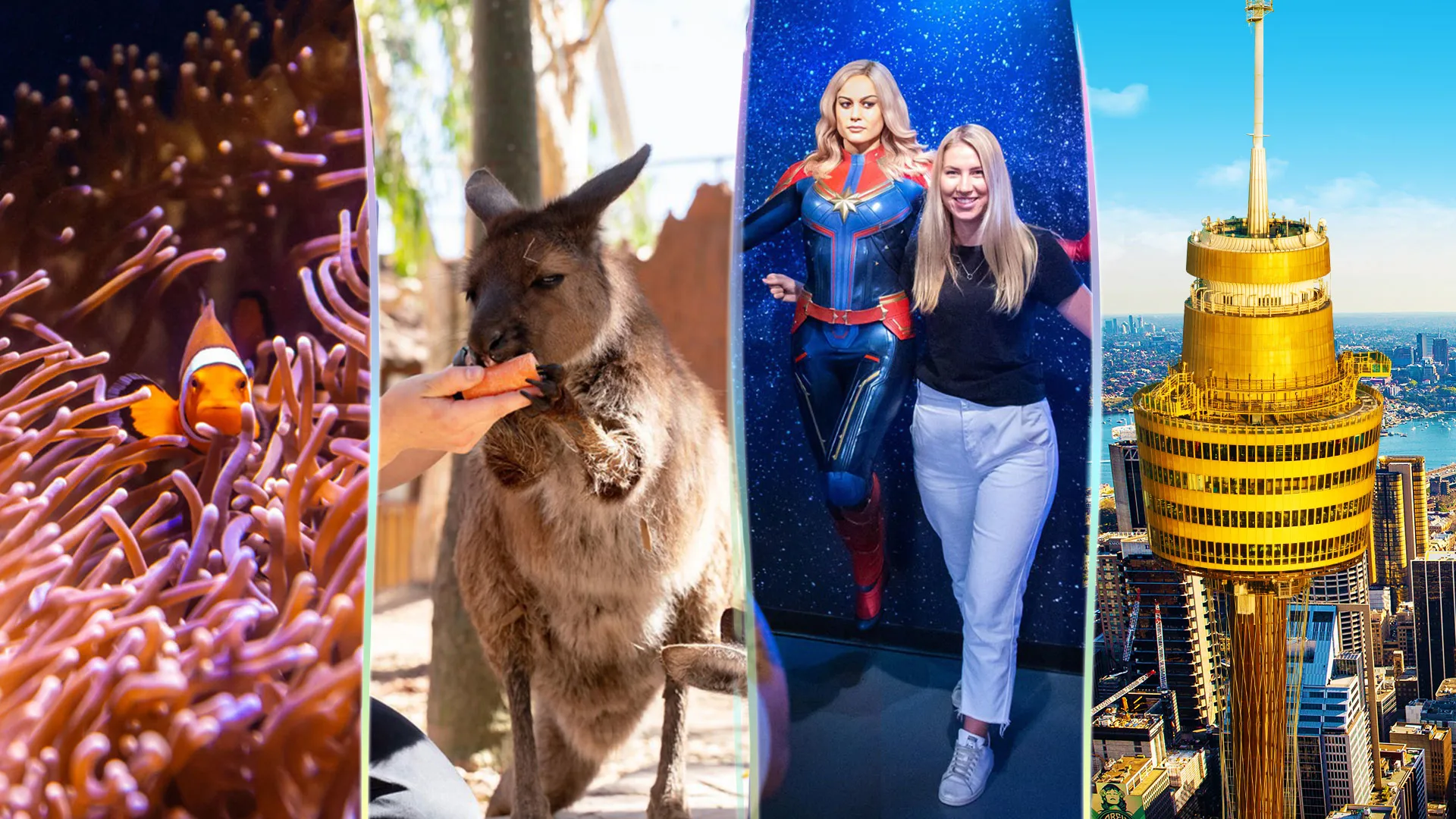 fish , kangaroo, wax work and the sydney tower eye