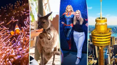 fish , kangaroo, wax work and the sydney tower eye