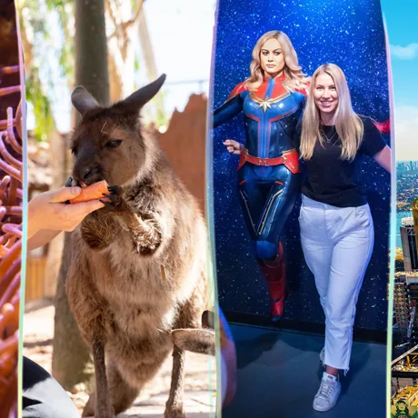fish , kangaroo, wax work and the sydney tower eye