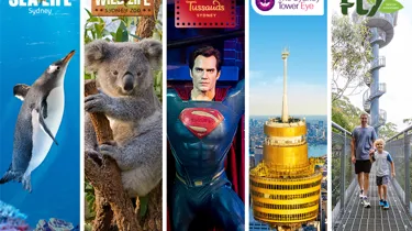 Nsw Attraction Image