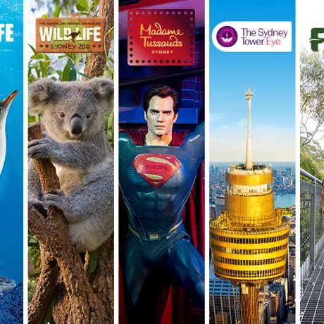 Nsw Attraction Image
