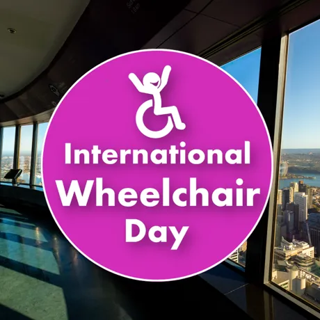 STE International Wheelchair Day