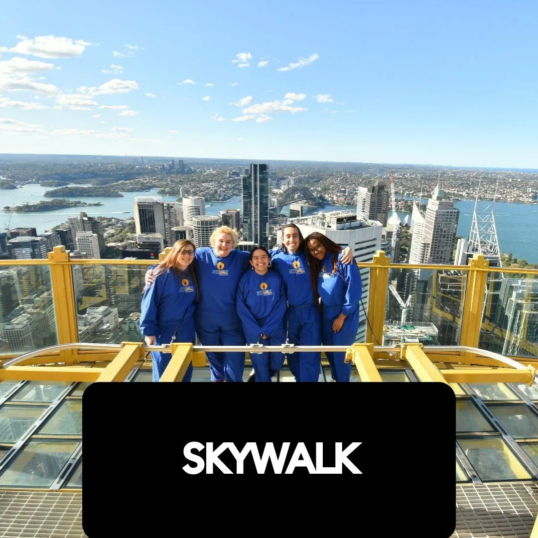 Quiet Mornings (2) (1)