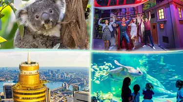 CLUSS Websiteimage